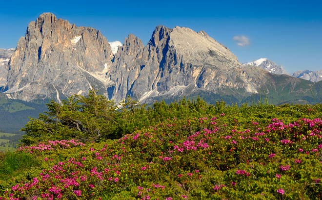 Platt- und Langkofel