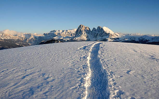 Natur Winter Nature winter